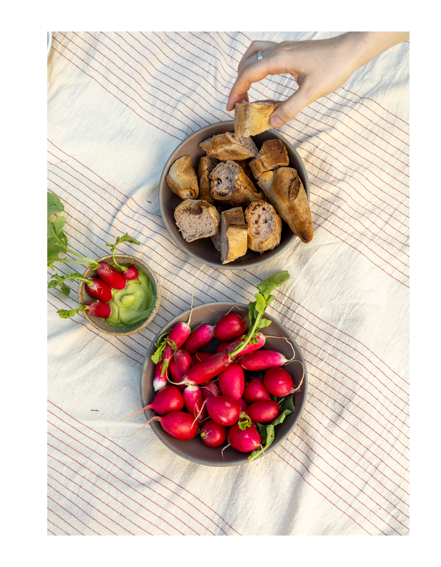 Le piquenique: zine de recettes (pré-commande)